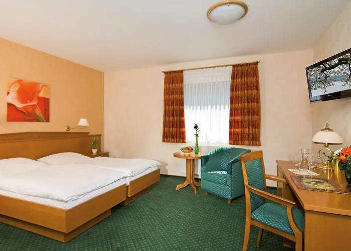 Hotel Puenjer