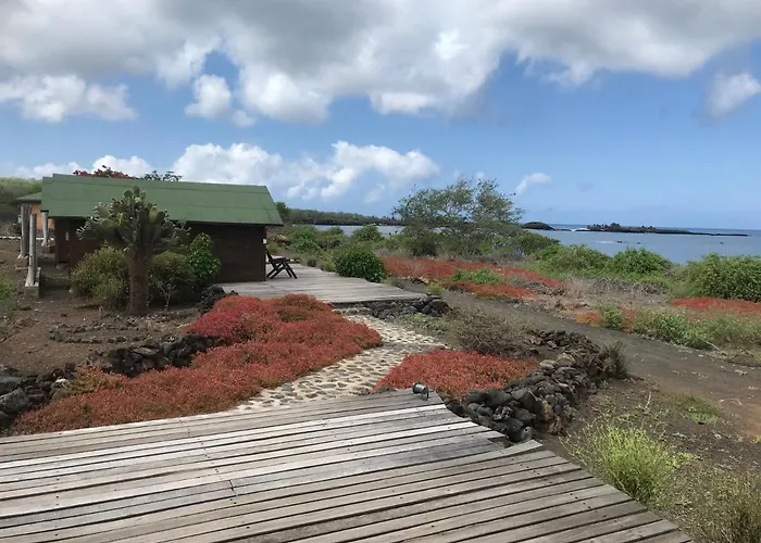 Lava Lodge