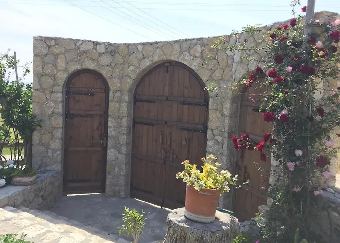 Beso Patara
